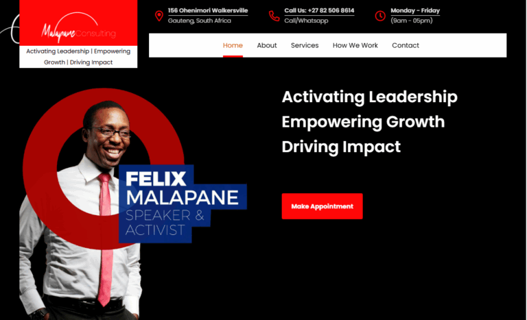 Website page for malapane Consultants with a man standing on a black background